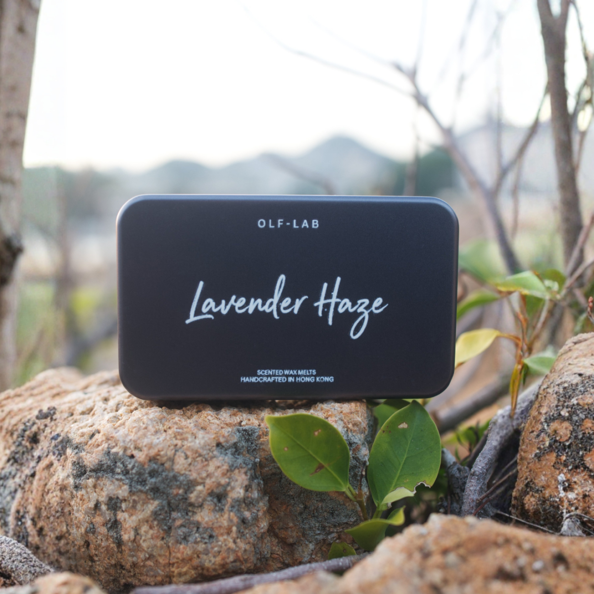 lavender haze wax melts