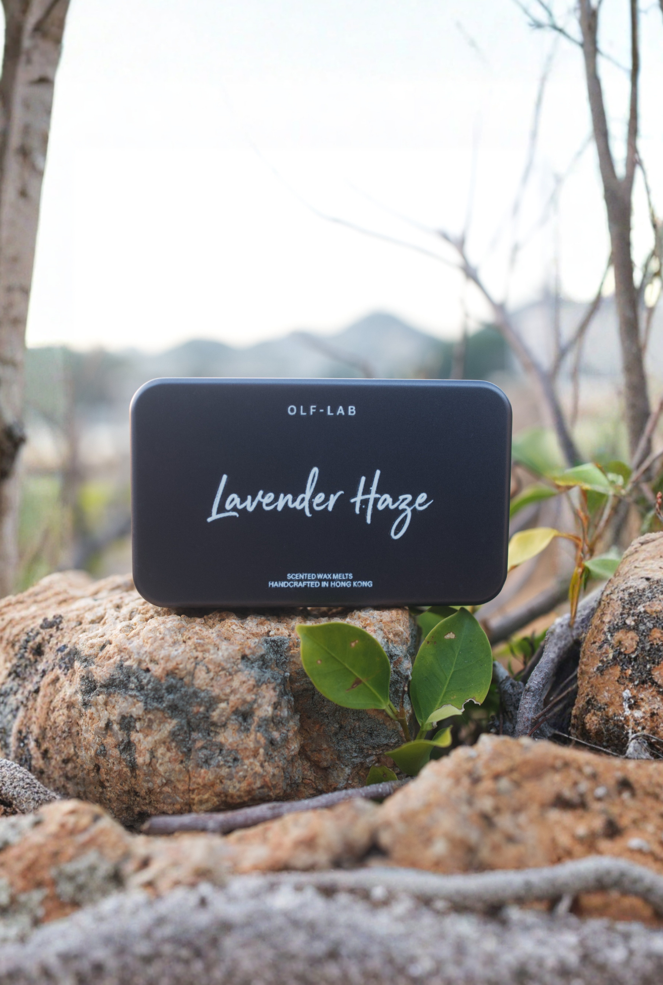 lavender haze wax melts